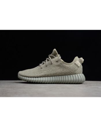 adidas Yeezy Boost 350 "moonrock" aQ2660