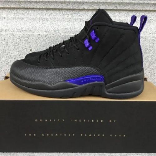 Air Jordan 12 Dark Concord (1)